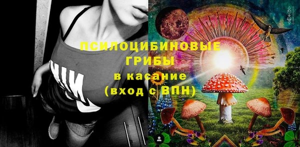 PSILOCYBIN Абдулино