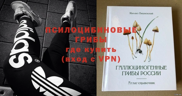 PSILOCYBIN Абдулино