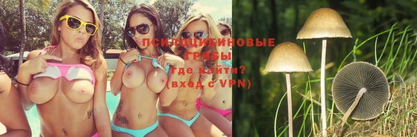молекула духа Абинск