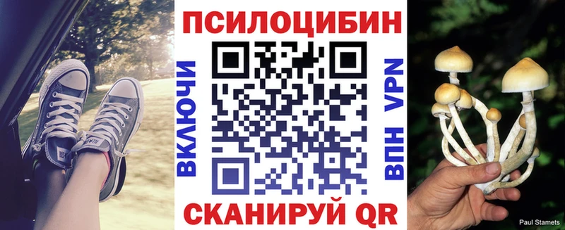 Галлюциногенные грибы мицелий  цена   Альметьевск 